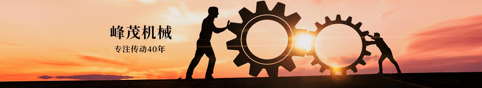 東莞市峰茂機(jī)械設(shè)備有限公司，專注齒條齒輪傳動(dòng)40年